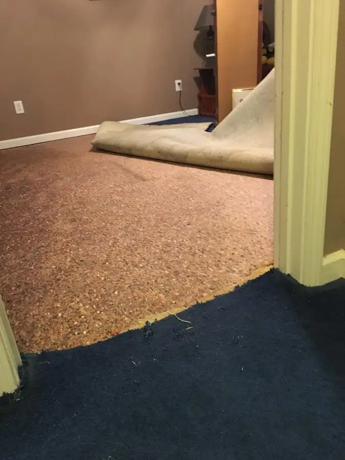 Carpet pad removal revealing water damage during Drying & Dehumidification in Pittsgrove