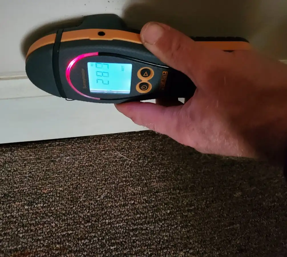 Moisture detection at baseboard during Sewage Cleanup & Sanitation in Pittsgrove